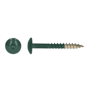 Kleurkopschroef 4.8x25 RVS Ral 6009 Dennengroen (100)